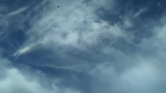 контактный телефон 8(989)129-80-55. Николай. смотреть онлайн