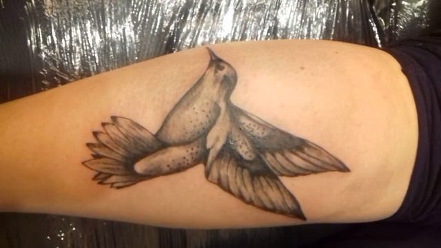 Kolibri tattoo смотреть онлайн