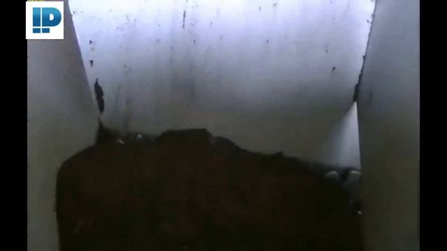 Ленточный дозатор VLD 1 смотреть онлайн