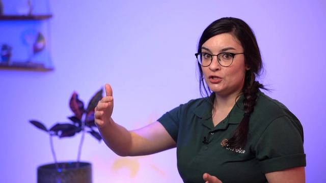 Advice I Wish I Could Tell Every Stroke Survivor смотреть онлайн