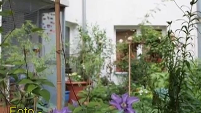 1600 человек в газовой камере. В Вене. Сегодня. Прогулки по непарадной Вене. Выпуск 21 смотреть онлайн