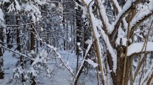 Снегоход мини Альбатрос L8. Покатушки мотособака. Альбатрос L8 с лыжным модулем.