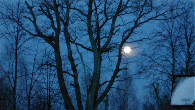 Иеромонах Роман. «Наброшу мантию свою…» смотреть онлайн