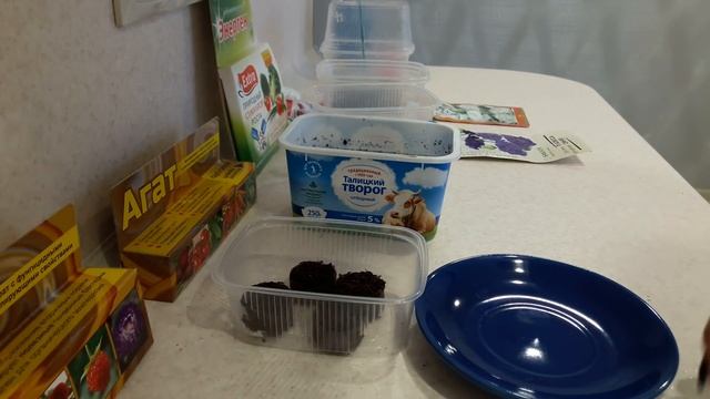 Лучший способ посева Эустомы!Всегда отличная всхожесть. смотреть онлайн