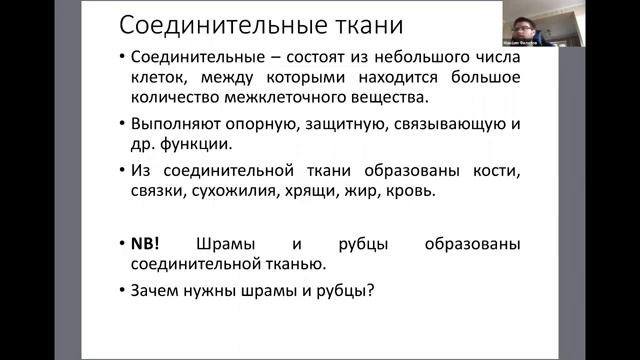 Ткани животных. Биофил || подготовка к ЕГЭ по биологии. смотреть онлайн