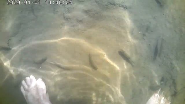 Экшн-камера DIGMA DiCam 310 4K (первая пробная съемка)