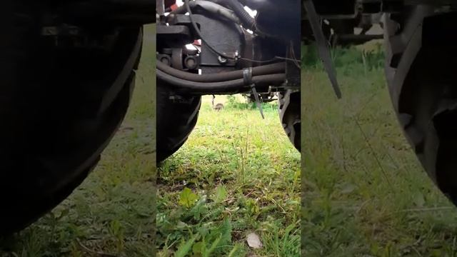 8 июля 2022 г. МТЗ 132н результаты переоборудования трактора и перспективы работ с навсемным и рамо смотреть онлайн