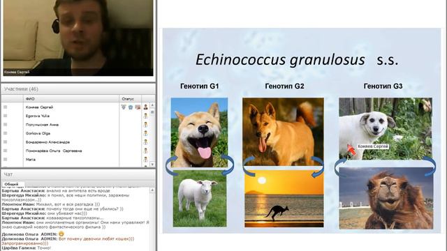 Зооантропонозные паразитозы. Часть 2.
