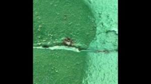 Нанесение Мовиля на влажную поверхность.