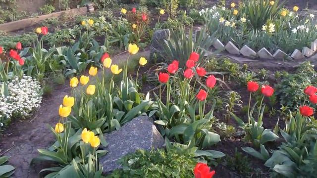 Весенняя мелодия цветов. Very beatiful music. смотреть онлайн