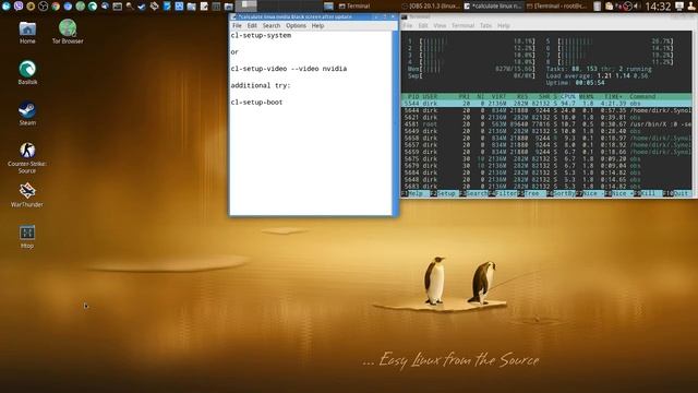 Calculate Linux - Black screen after update - easy fix смотреть онлайн