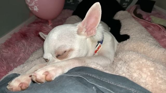 ВЛОГ. Если посадят то чистой 😂 смотреть онлайн