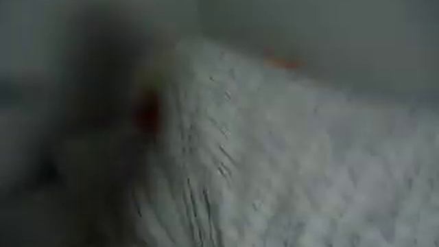 waking up the asshole clown in tilburg смотреть онлайн