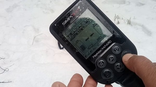 Краткий обзор Nokta Makro Simplex plus.Новое приобретение .