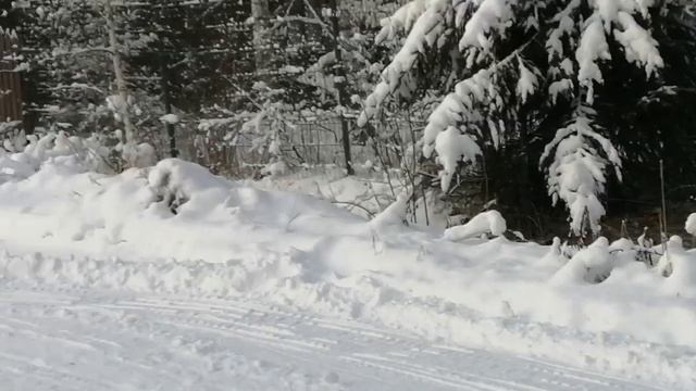 мотобуксировщик полярник 15 смотреть онлайн