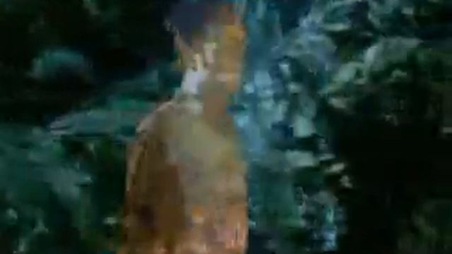 STING -Fields of Gold смотреть онлайн