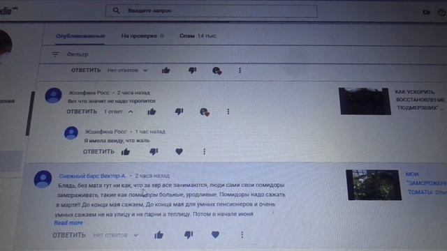 ОТВЕТ НА НЕГАТИВНЫЕ КОММЕНТАРИИ. Ольга Чернова. смотреть онлайн