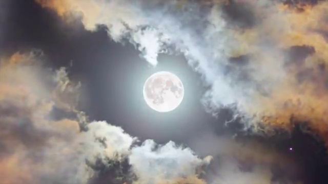 AMOUR LOINTAIN (LOVE FROM AFAR) Piano Solo by Robert Van Horne смотреть онлайн