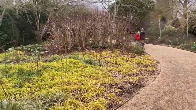 Поместье Angelsey Abbey, подснежники и зимний сад. смотреть онлайн