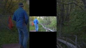 Цепь Champion/55/3.8/1.3 для бензопилы STIHL MS 250 16» и STIHL MS 180 16»