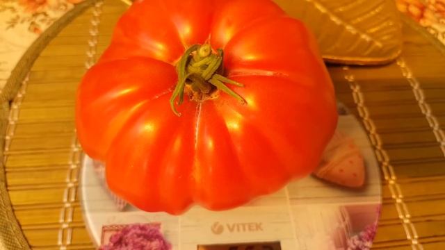 Томаты РИМ - огромные томатные стейки! До 1 кГ и более!! ТопСад смотреть онлайн