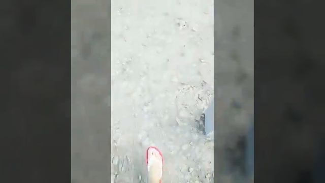 Мой мини Вечер! Polina Pic. Простите что оно не полное) смотреть онлайн