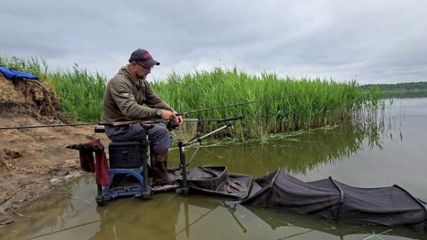 ловля карася флет против классики
