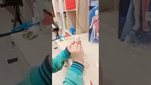 Саша собирает модель человека, 2022г. смотреть онлайн