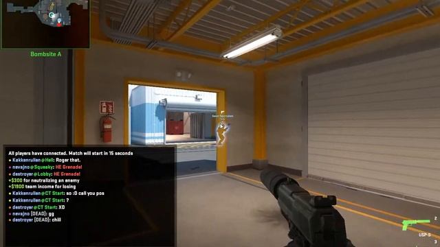CS2 CHILL смотреть онлайн