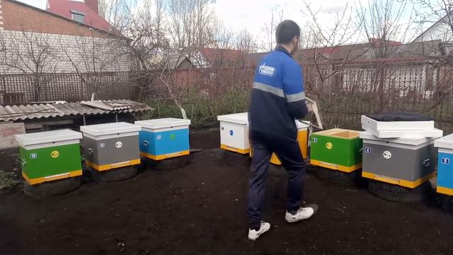 Пчеловодство. Начало. смотреть онлайн