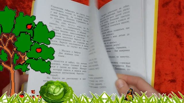 Буктрейлер по книге Алёны Мунковой и Иржи Мунк "Приключения Стремянки и Макаронины" смотреть онлайн