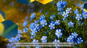 Таулар биек