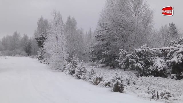 В Уренском районе наступила настоящая зима смотреть онлайн