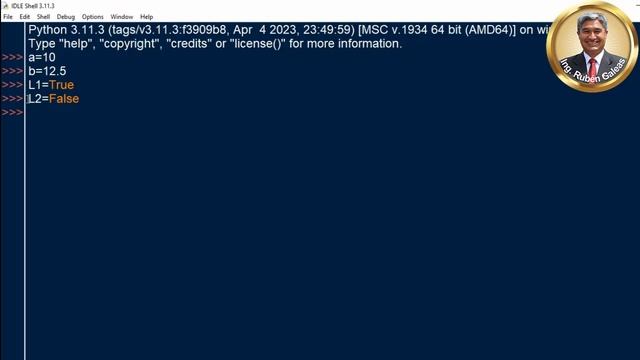 #python. VARIABLES DEL TIPO LÓGICO en Python con IDLE. 100% práctico. #7. смотреть онлайн