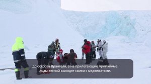 О заповеднике «Медвежьи острова»