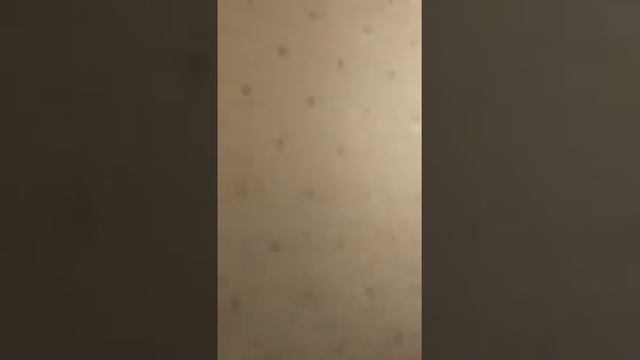 2-х этажный дом на участке 6 соток по ул. Белиджинская в районе конечной маршрута №69 и №69А (3) смотреть онлайн