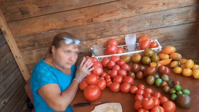 СЕМЕНА!!! Часть 1.
ВЫБИРАЕМ СОРТА ТОМАТОВ!!!??? смотреть онлайн