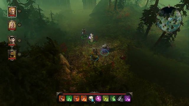 Divinity Original Sin #78 Druid Dungeon