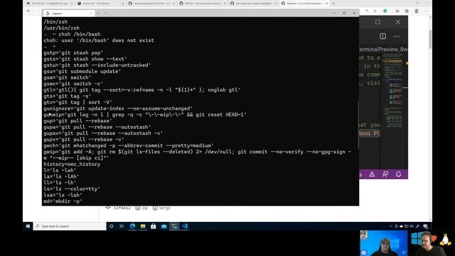 Setting up "oh my zsh!" shel on WSL - Linux on Windows смотреть онлайн