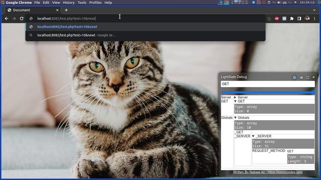 LightStats - Php Library for Inspecting Request and Variables смотреть онлайн