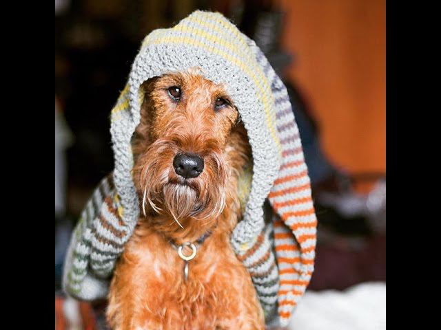 Вяжем с WickedLynx. Мои заметки о 