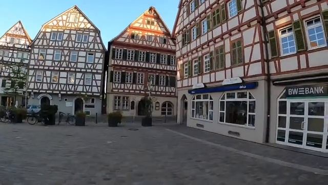 Leonberg In Germany