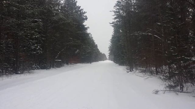 2005 Rx1 Vs 2011 Apex XTX