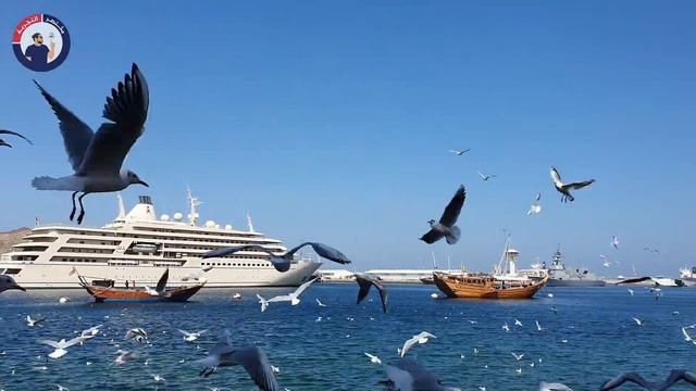 Transit flight to Muscat International Airport in the Sultanate of Oman смотреть онлайн