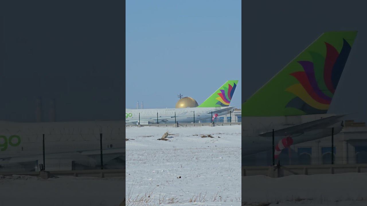 #boeing #747 #short #shorts Boeing 747 AirACT смотреть онлайн