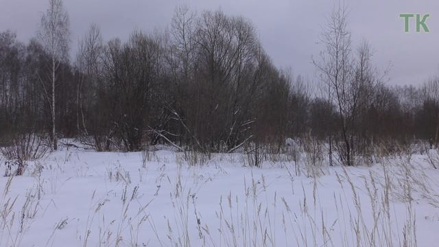 Тест камуфляжа Multicam Alpine. Зима / Camouflage test Multicam Alpine. Winter. Зимний камуфляж. смотреть онлайн