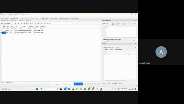 Advance Python Class 16 : Database Programming with Python смотреть онлайн