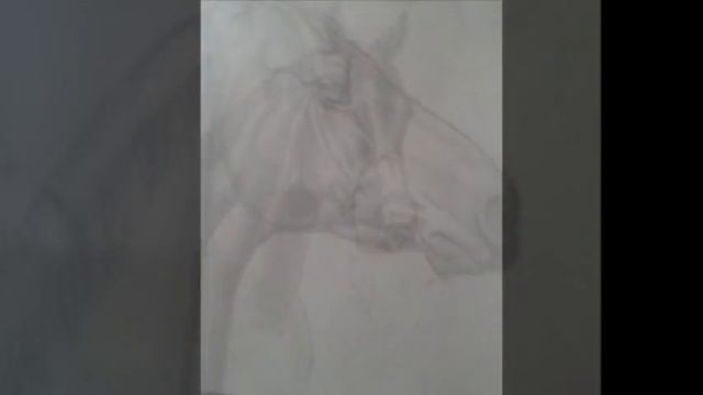 Мои рисунки лошадей. смотреть онлайн