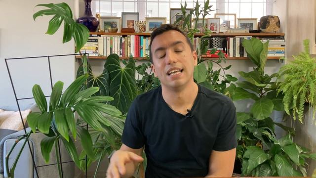 Complete Rhaphidophora Decursiva Care Guide + Downloadable Care Guide