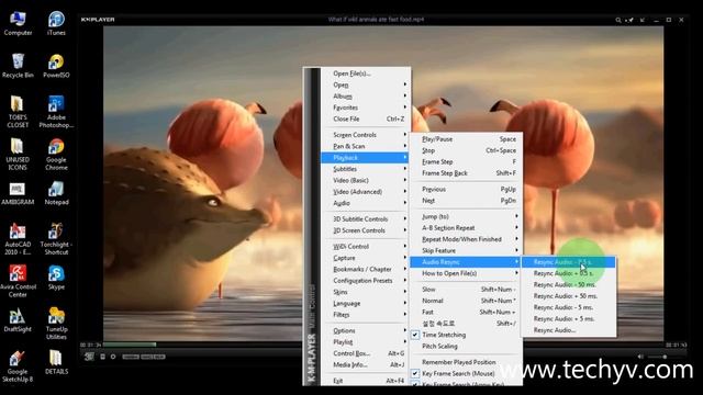 How To Use KM Player? aka KMPlayer смотреть онлайн